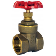 Gate & Globe Valves