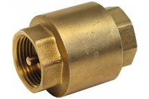 80mm ART66 Brass Spring Check Valve NBR and Gasket PN20