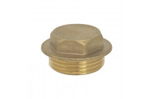 1/8\" Brass Flanged Plug