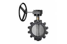 200mm F632 Ductile Iron Fully-Lugged Gear-Operated Butterfly Valve PN16