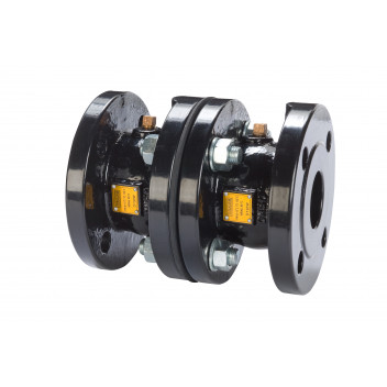 250mm D230W Cast Iron Double Check Valve PN16 Flanged