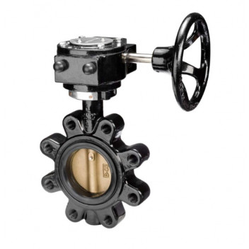 200mm F629 DuctiIe Iron Fully-Lugged Gear Op B/Fly Valve EPDM (High Temp) PN16