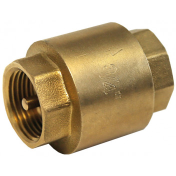 100mm ART66 Brass Spring Check Valve NBR and Gasket PN20